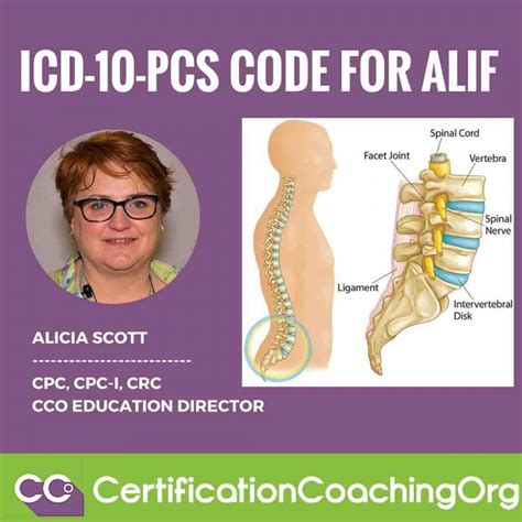 Your backbone, or spinal column, is made up of a chain of bones called the. . Lumbar discectomy icd 10 pcs